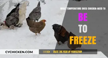 Ideal Temperature to Freeze Chicken