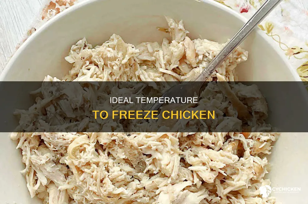what temperature does chicken need to be to freeze