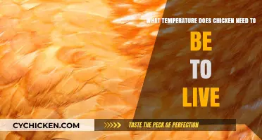 Ideal Temperature Range for Healthy Chickens