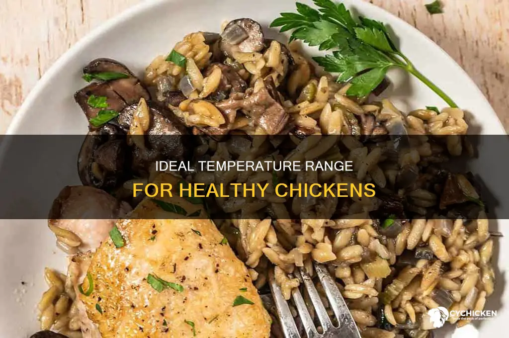 what temperature does chicken need to be to live