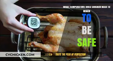 Cooking Chicken: Safe Temperature Range
