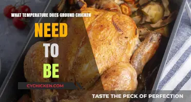 Safe Cooking Temperature for Ground Chicken: A Complete Guide