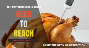 Safe Cooking: What Temperature Should Raw Chicken Reach?