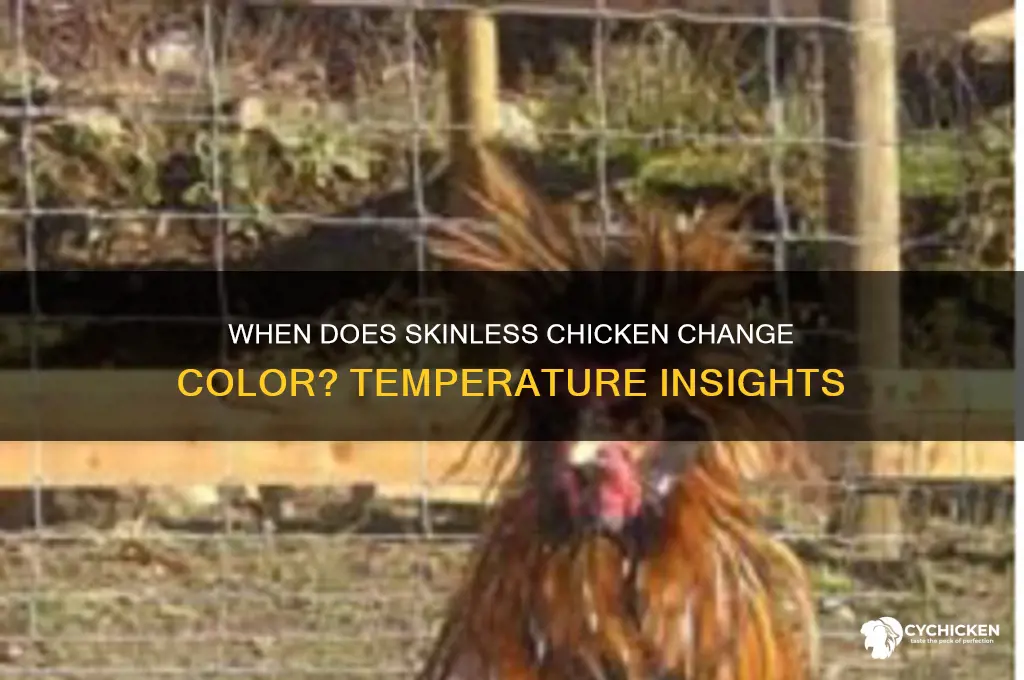 what temperature does skinless chicken change color