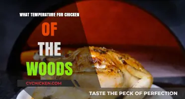 Perfect Chicken of the Woods Cooking: Ideal Temperature Guide