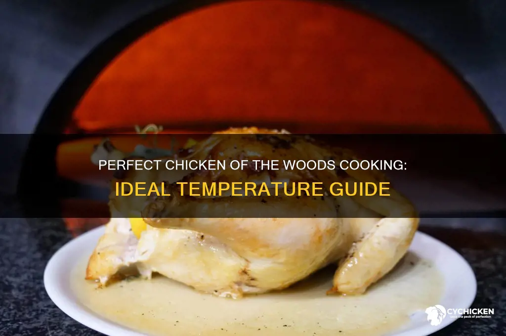 what temperature for chicken of the woods