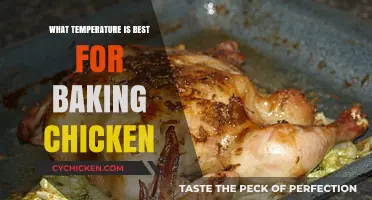 Perfect Chicken Baking: Ideal Temperature for Juicy, Tender Results