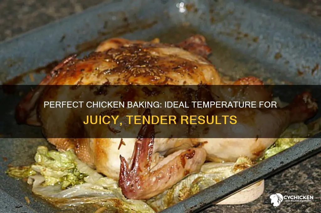 what temperature is best for baking chicken