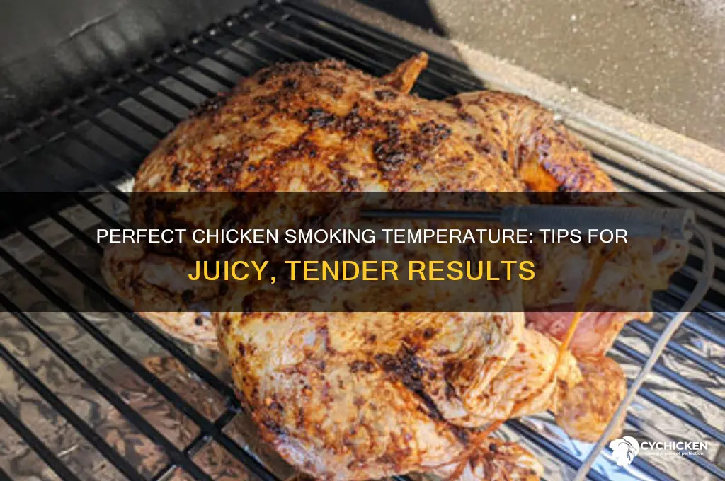 what temperature is best for smoking chicken