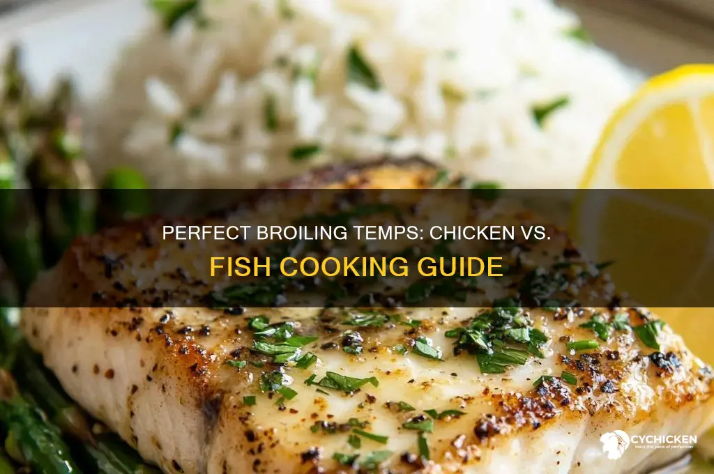 what temperature is chicken do for broil fish