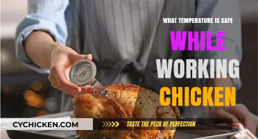 Safe Chicken Handling: Ideal Temperature Tips for Cooking and Storage