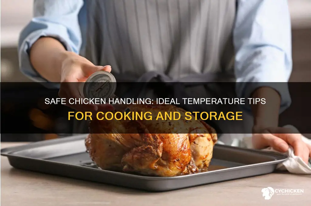 what temperature is safe while working chicken