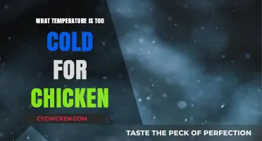 Chilling Truth: When Cold Temperatures Threaten Your Chicken's Health