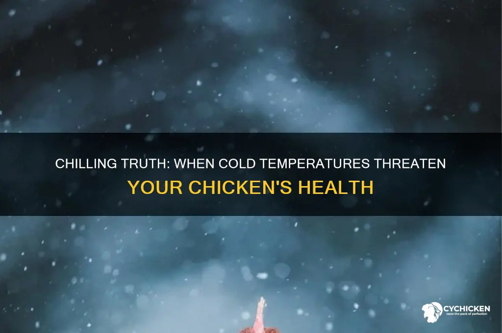 what temperature is too cold for chicken