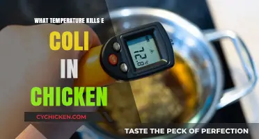 Safe Cooking: What Temperature Kills E. Coli in Chicken?