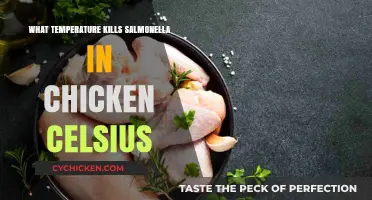 Safe Cooking: Eliminating Salmonella in Chicken at What Celsius?