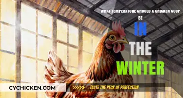 Cozy Quarters: Optimal Winter Temps for Happy Hens