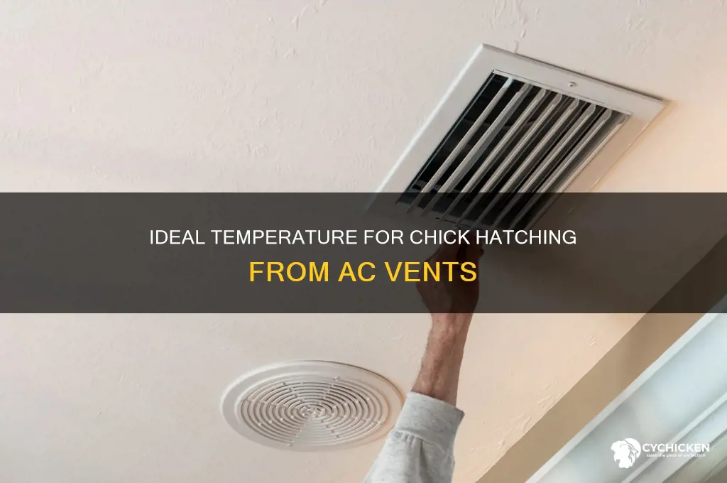what temperature should chick come out of ac vents