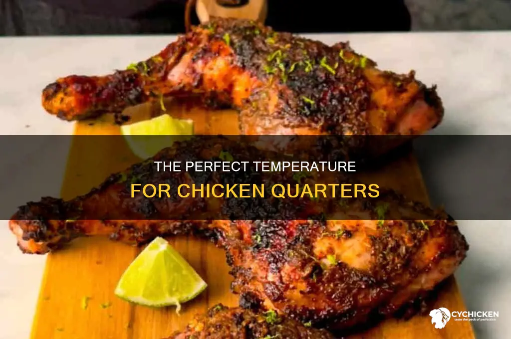 what temperature should chicken quarters be at when they