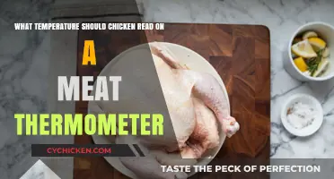 Meat Thermometer Reading for Perfectly Cooked Chicken