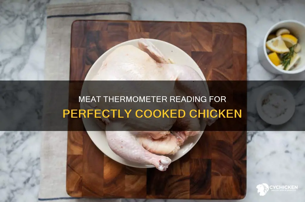 what temperature should chicken read on a meat thermometer