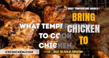 Perfect Chicken Temperature: Safe Internal Heat Guide for Juicy Results