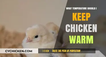Ideal Chicken Warming Temperature: Tips for Perfectly Safe and Juicy Results