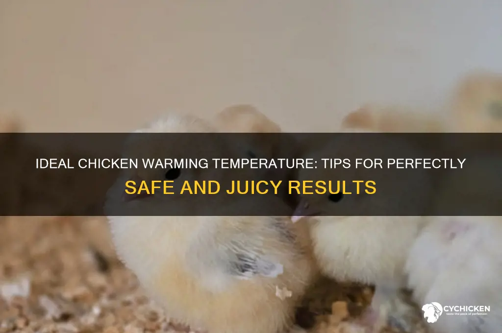 what temperature should i keep chicken warm
