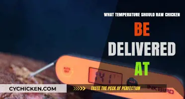 Safe Raw Chicken Delivery: Ideal Temperature Guidelines for Freshness