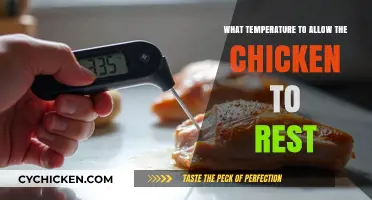 Perfect Chicken Resting Temperature: Tips for Juicy, Tender Results