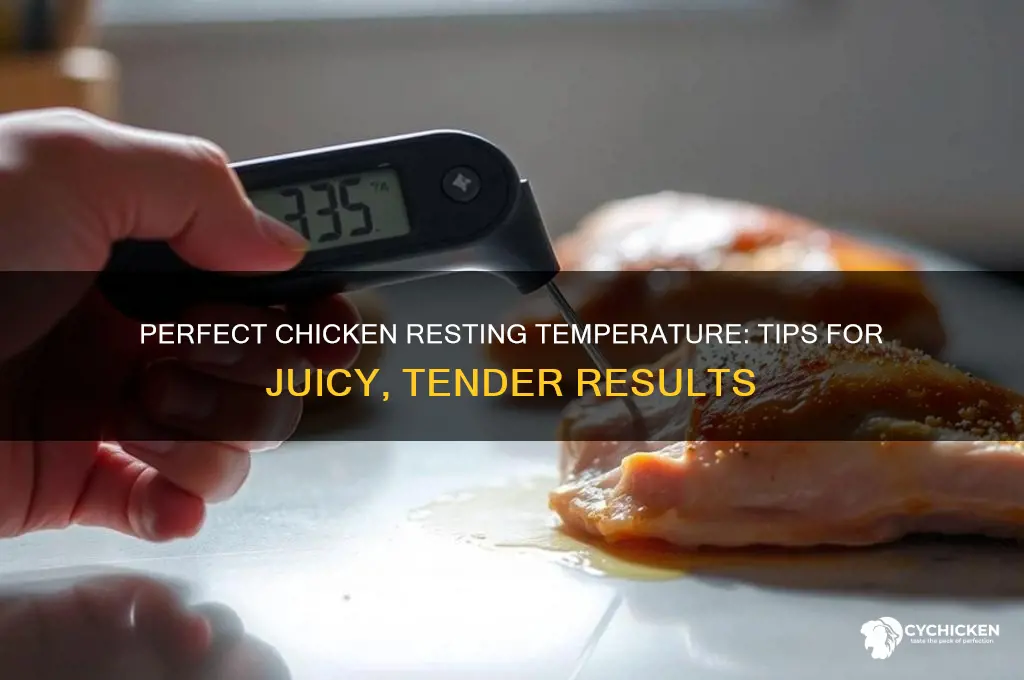 what temperature to allow the chicken to rest