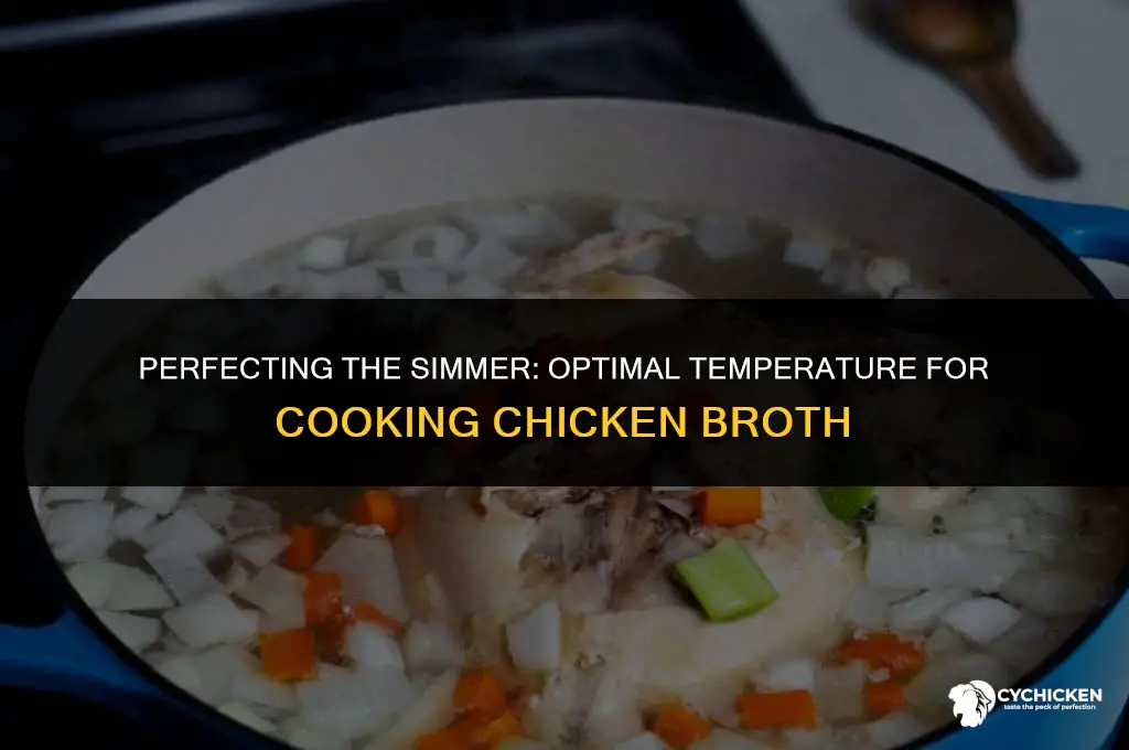 what temperature to cook chicken broth