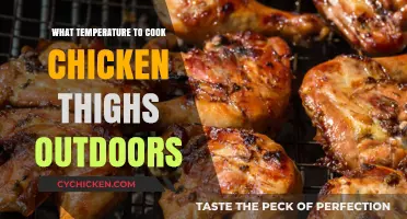 Perfect Outdoor Chicken Thighs: Ideal Cooking Temperature Guide