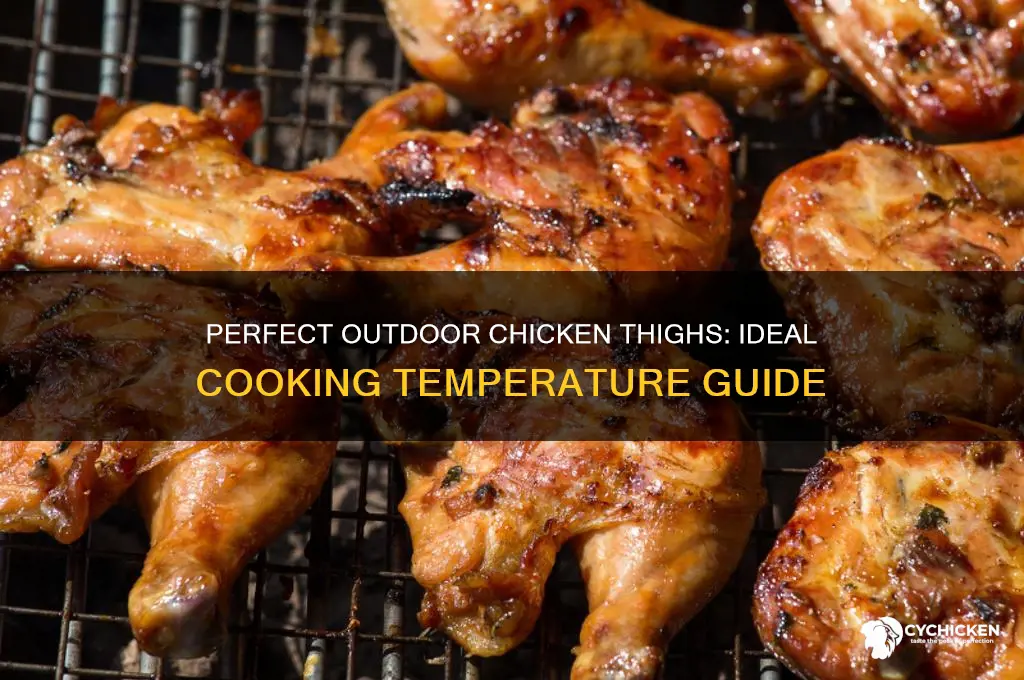 what temperature to cook chicken thighs outdoors