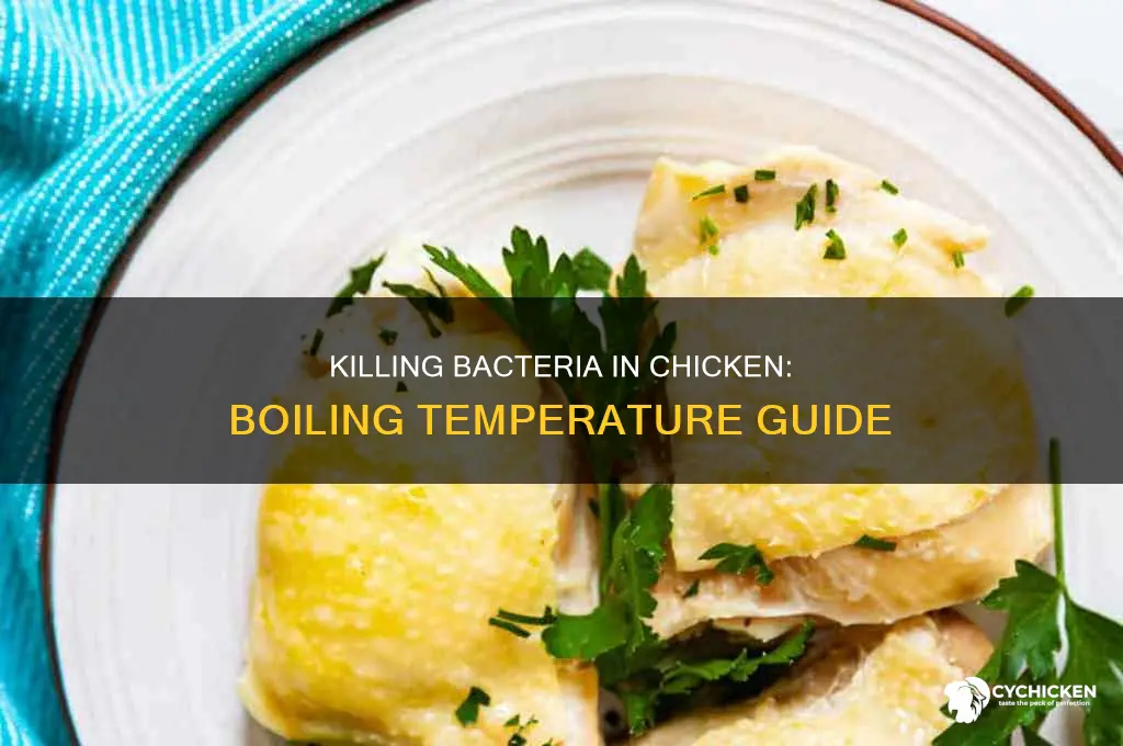 what temperature to kill bacteria in chicken while boiling