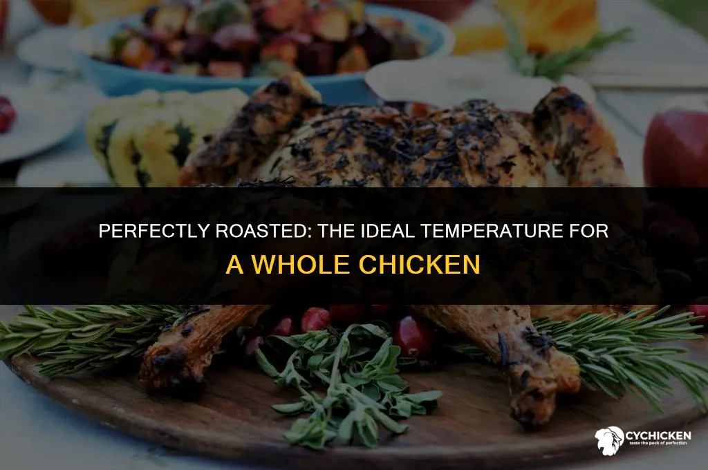 what temperature to roas a whole chicken