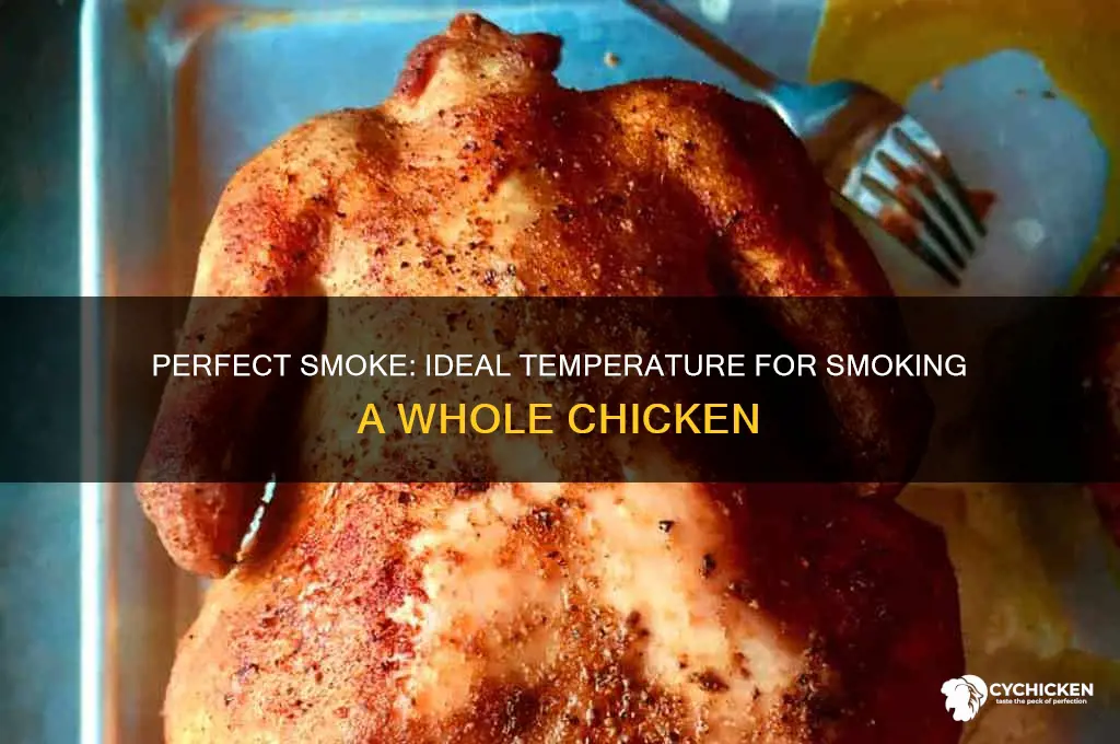 what temperature to smoke a hole chicken