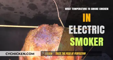 Perfect Electric Smoker Chicken: Ideal Temperature Guide for Juicy Results