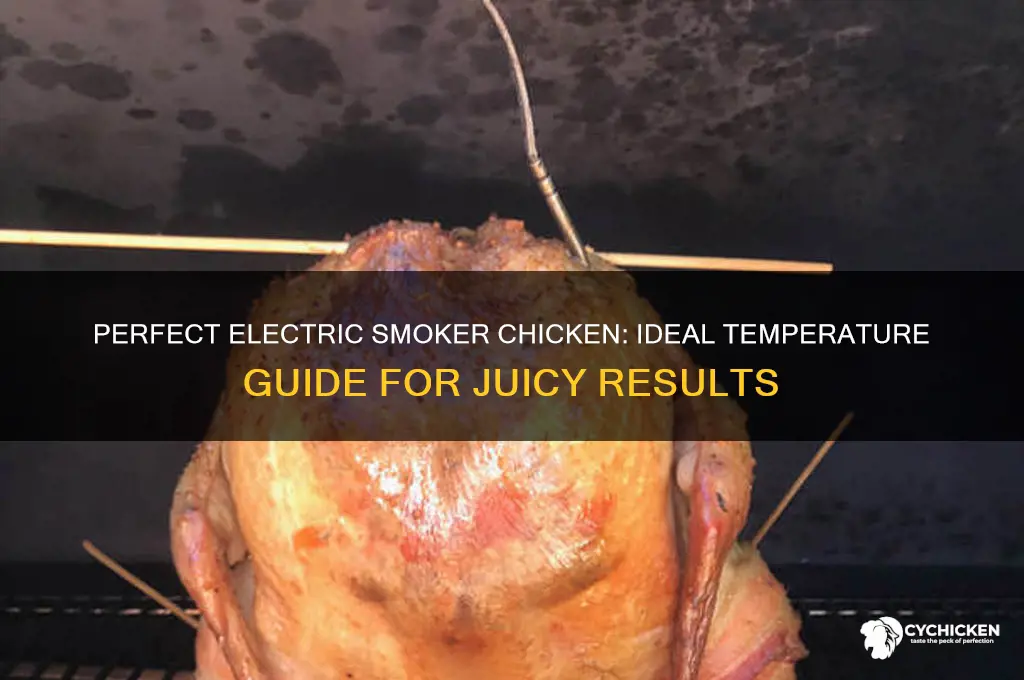 what temperature to smoke chicken in electric smoker
