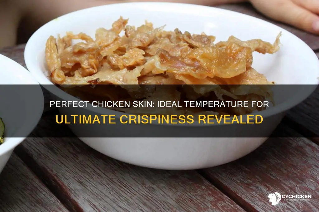 what temperature will chicken crispy skin on