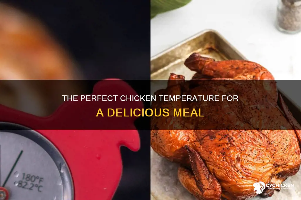 what temperature your chicken should have to be finished