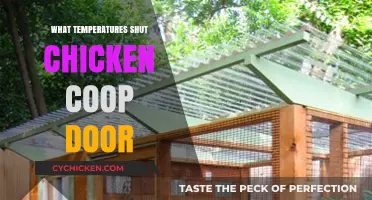 Automated Chicken Coop Door: Optimal Temperatures for Poultry Comfort