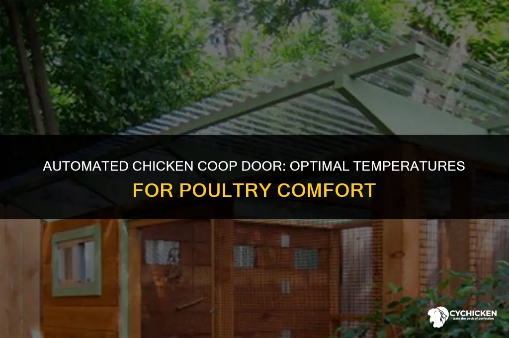 what temperatures shut chicken coop door