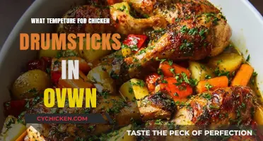Perfect Oven-Baked Chicken Drumsticks: Ideal Temperature Guide