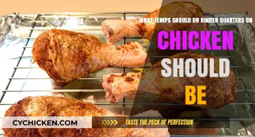 Ideal Temperature for Chicken Hindquarters