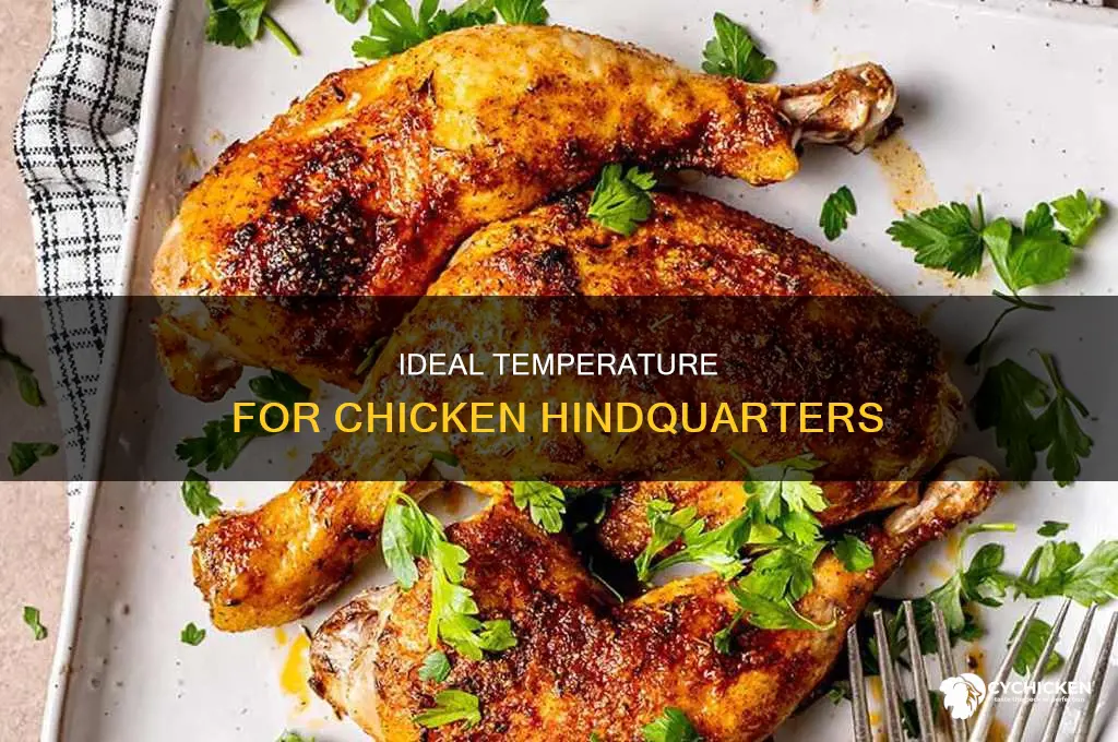 what temps should ur hinder quarters on chicken should be