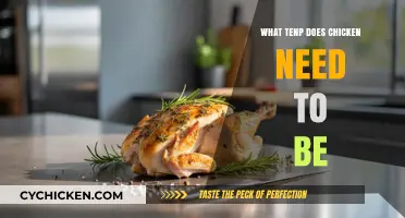 Perfect Chicken Temperature: Essential Guide to Safe and Juicy Results