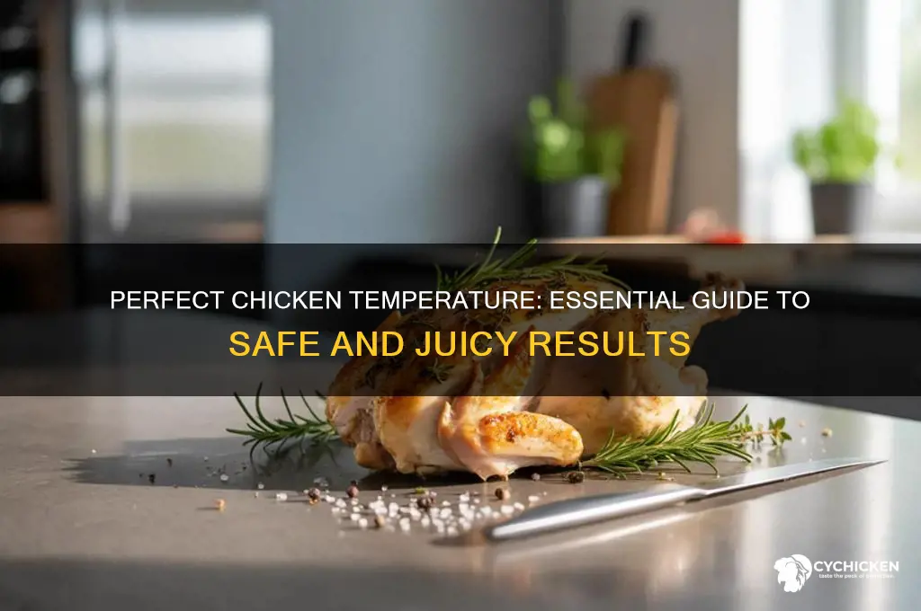 what tenp does chicken need to be