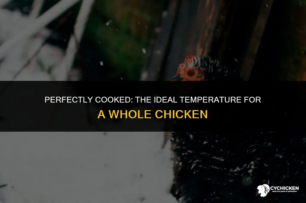 what teperature should a whole chicken be when done