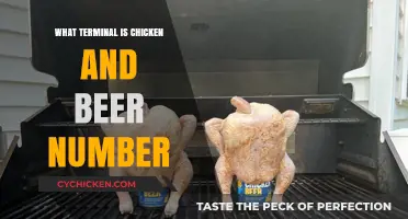 Chicken and Beer Terminal Number: A Quick Guide to Finding It